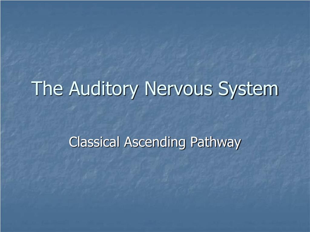 PPT - The Auditory Nervous System PowerPoint Presentation, free ...
