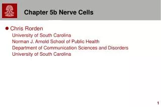 Chapter 5b Nerve Cells