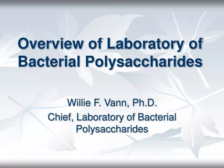 overview of laboratory of bacterial polysaccharides