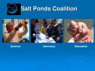 Salt Ponds Coalition
