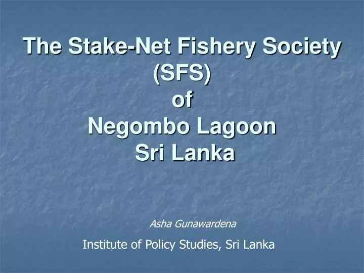the stake net fishery society sfs of negombo lagoon sri lanka