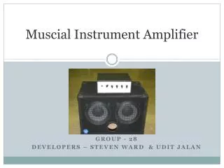 Muscial Instrument Amplifier