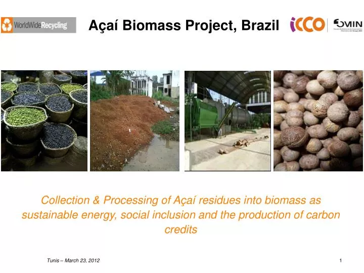 a a biomass project brazil