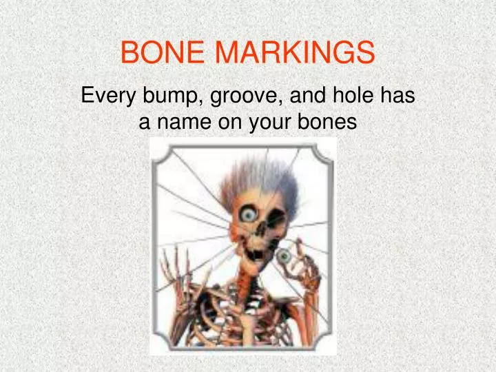 bone markings