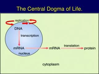 The Central Dogma of Life.
