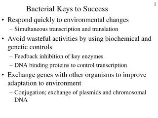 Bacterial Keys to Success