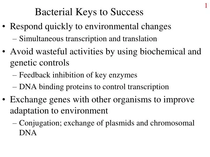 bacterial keys to success