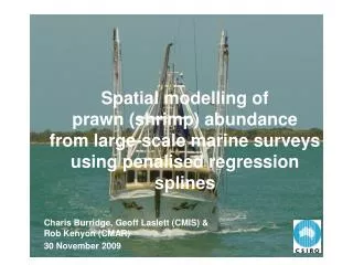 Spatial modelling of prawn (shrimp) abundance from large-scale marine surveys using penalised regression splines