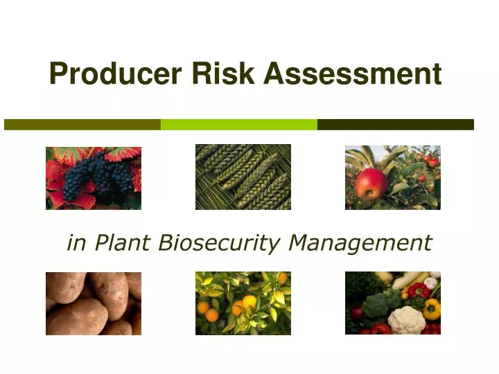producer risk assessment