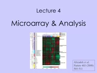 Lecture 4 Microarray &amp; Analysis