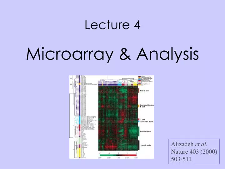 lecture 4 microarray analysis