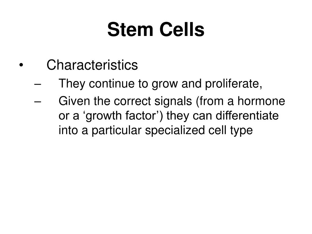 PPT - Stem Cells PowerPoint Presentation, free download - ID:737539