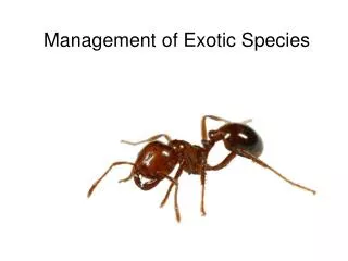 Management of Exotic Species