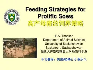 Feeding Strategies for Prolific Sows ?????????
