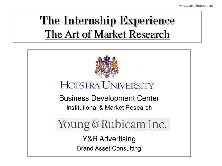 the internship experience the art of market research