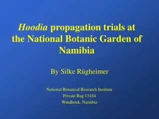 Hoodia propagation trials at the National Botanic Garden of Namibia