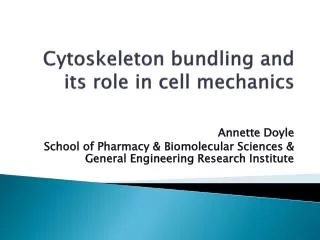 Cytoskeleton bundling and its role in cell mechanics