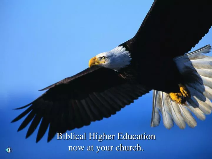 biblical higher education now at your church