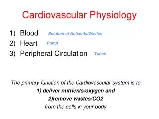 Cardiovascular Physiology