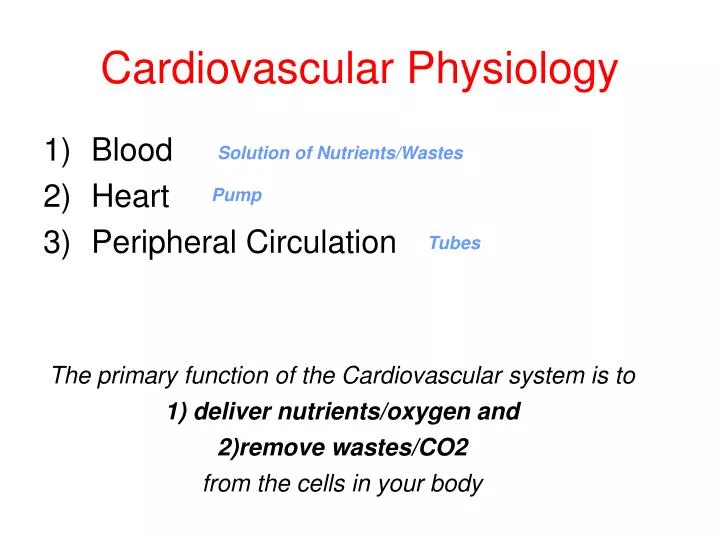 cardiovascular physiology