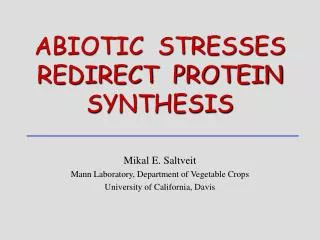 ABIOTIC STRESSES REDIRECT PROTEIN SYNTHESIS