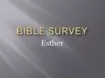 Bible Survey - slide 1