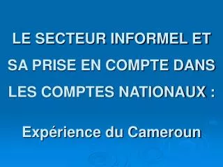 LE SECTEUR INFORMEL ET SA PRISE EN COMPTE DANS LES COMPTES NATIONAUX : Expérience du Cameroun