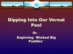 Dipping Into Our Vernal Pool
