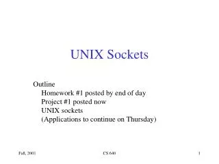 UNIX Sockets