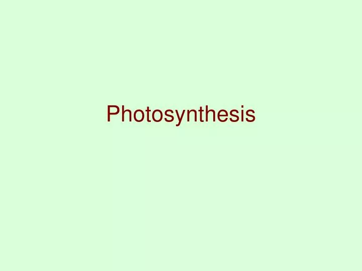 photosynthesis