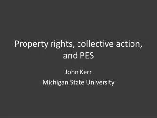 Property rights, collective action, and PES