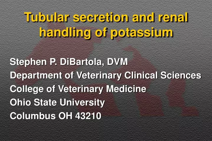 tubular secretion and renal handling of potassium