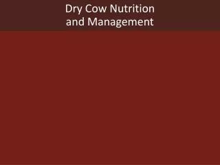 Dry Cow Nutrition and Management