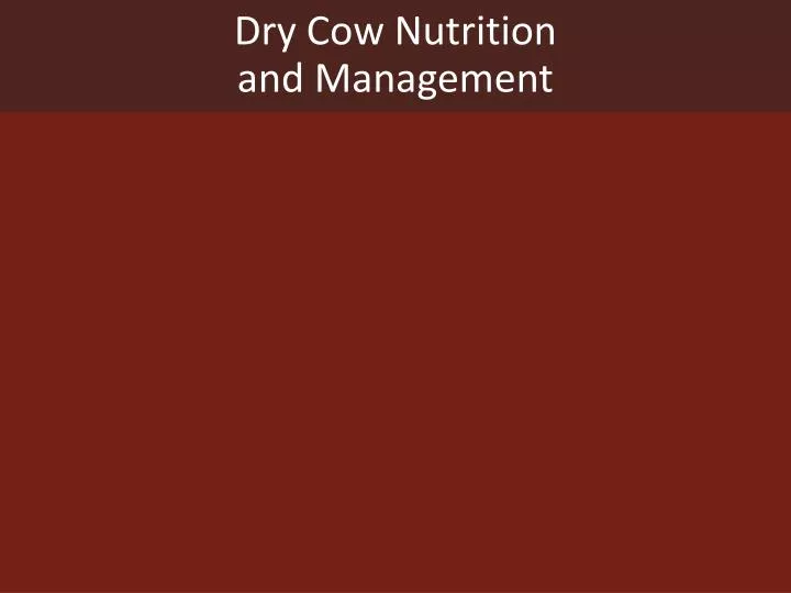 dry cow nutrition and management