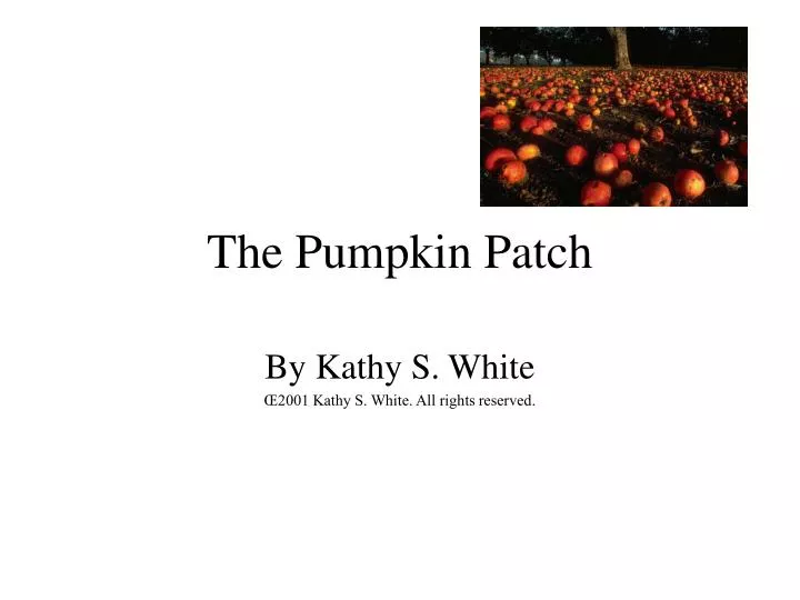 the pumpkin patch