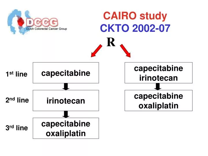 cairo study ckto 2002 07