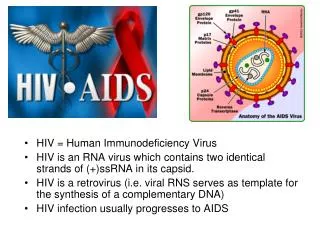 HIV = Human Immunodeficiency Virus HIV is an RNA virus which contains two identical strands of (+)ssRNA in its capsid.