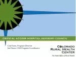 Critical Access Hospital Advisory Council