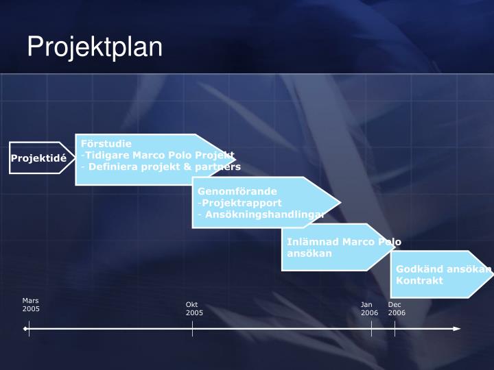 projektplan