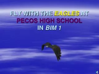 FLY WITH THE EAGLES AT PECOS HIGH SCHOOL IN BIM 1