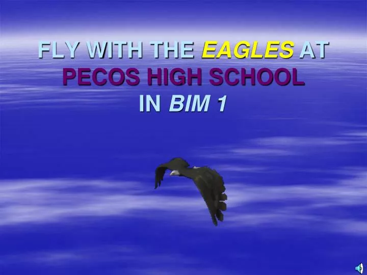 fly with the eagles at pecos high school in bim 1