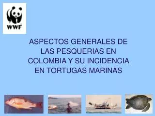 ASPECTOS GENERALES DE LAS PESQUERIAS EN COLOMBIA Y SU INCIDENCIA EN TORTUGAS MARINAS