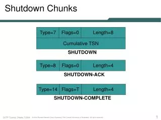 Shutdown Chunks