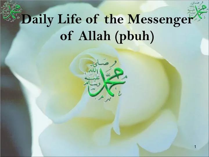 daily life of the messenger of allah pbuh