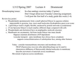 L312/Spring 2007	Lecture 4	Drummond