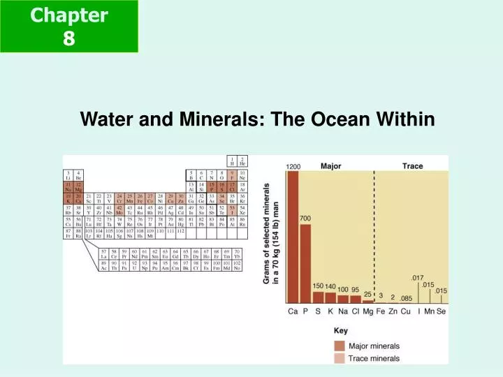 water and minerals the ocean within