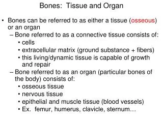 Bones: Tissue and Organ