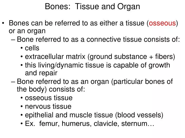 bones tissue and organ