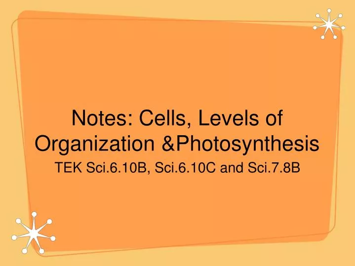 notes cells levels of organization photosynthesis