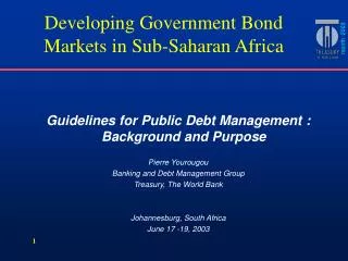 Guidelines for Public Debt Management : Background and Purpose Pierre Yourougou Banking and Debt Management Group Treasu